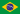 Português (Brasil)